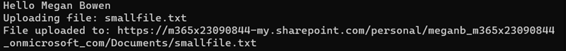 Screenshot of the console application showing the uploaded file from the user's OneDrive.