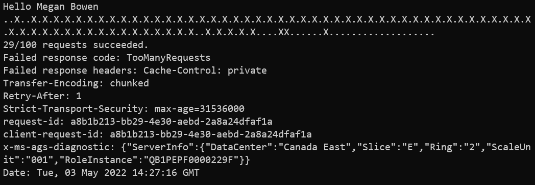 Screenshot of the console application with no query parameters