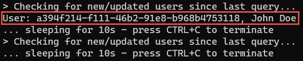 Screenshot of the console app displaying the new user