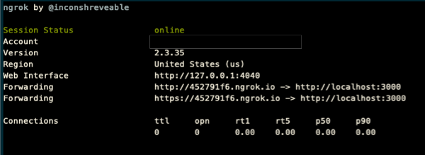 Screenshot of the console with ngrok URL.